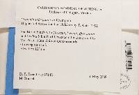 Image Associated With the Occurrence