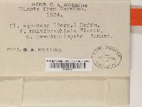 Image Associated With the Occurrence