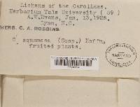 Image Associated With the Occurrence