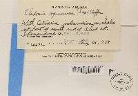 Image Associated With the Occurrence