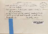 Image Associated With the Occurrence