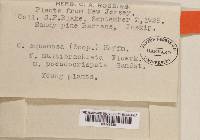 Image Associated With the Occurrence