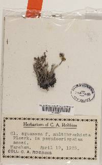 Image Associated With the Occurrence