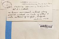 Image Associated With the Occurrence