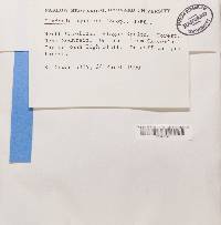 Image Associated With the Occurrence