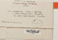 Image Associated With the Occurrence