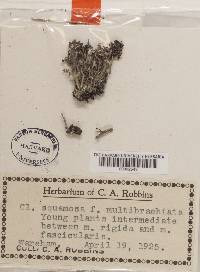 Image Associated With the Occurrence