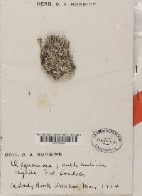 Image Associated With the Occurrence