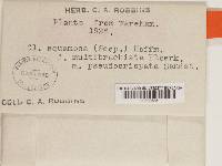 Image Associated With the Occurrence