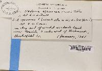 Image Associated With the Occurrence