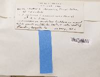 Image Associated With the Occurrence