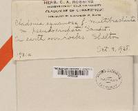 Image Associated With the Occurrence