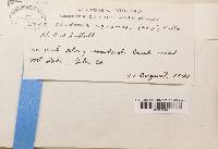 Image Associated With the Occurrence