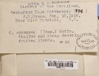 Image Associated With the Occurrence