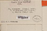 Image Associated With the Occurrence