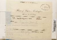 Cladonia squamosa var. subsquamosa image