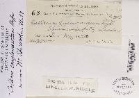 Image Associated With the Occurrence