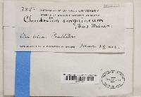 Image Associated With the Occurrence