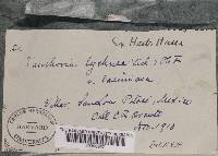 Image Associated With the Occurrence