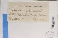 Image Associated With the Occurrence