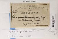 Image Associated With the Occurrence