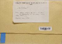 Image Associated With the Occurrence