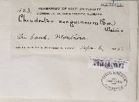 Image Associated With the Occurrence