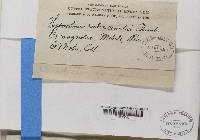 Image Associated With the Occurrence