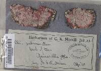 Image Associated With the Occurrence