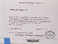 Image Associated With the Occurrence