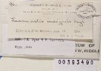 Image Associated With the Occurrence