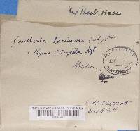 Image Associated With the Occurrence