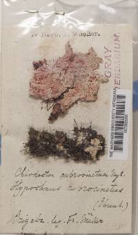 Image Associated With the Occurrence