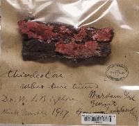 Image Associated With the Occurrence