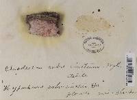 Image Associated With the Occurrence