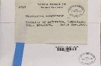 Image Associated With the Occurrence