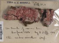 Image Associated With the Occurrence