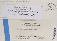 Image Associated With the Occurrence