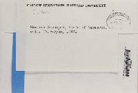 Image Associated With the Occurrence