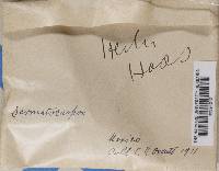 Image Associated With the Occurrence