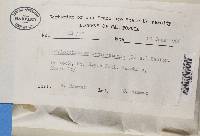 Diploschistes actinostomus image