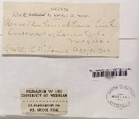 Image Associated With the Occurrence