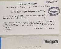 Image Associated With the Occurrence