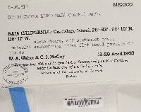 Image Associated With the Occurrence