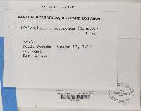 Image Associated With the Occurrence