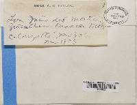 Image Associated With the Occurrence