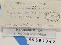 Image Associated With the Occurrence