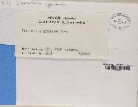 Image Associated With the Occurrence