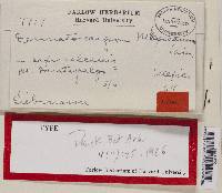 Image Associated With the Occurrence