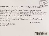 Image Associated With the Occurrence